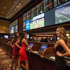 ck333 casino